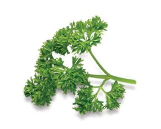 A sprig of parsley.